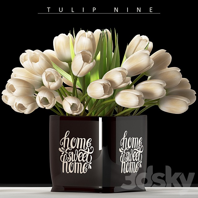 TULIP NINE