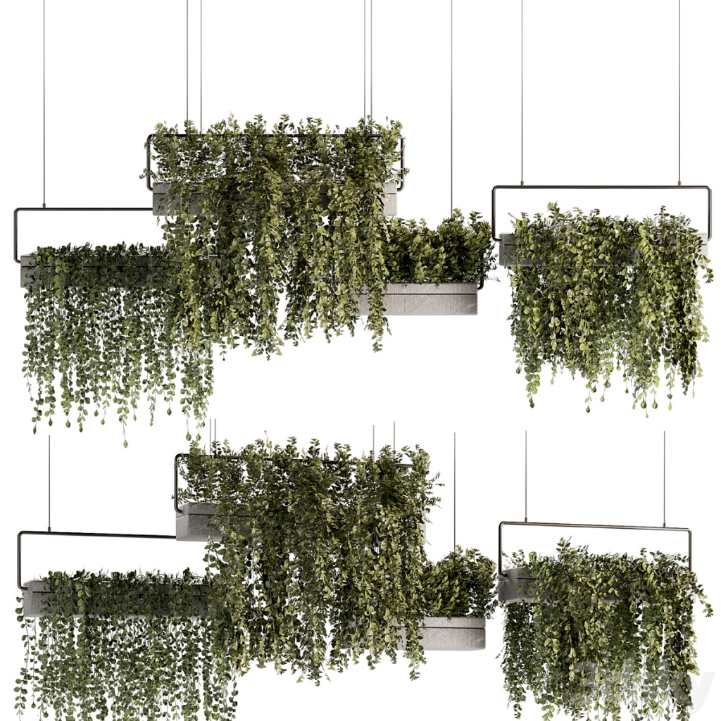 Indoorplants- Hanging Plants Set54