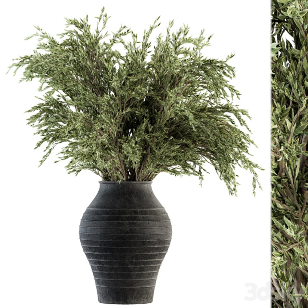 indoor Plant Set 201 - Big Bush in Vase