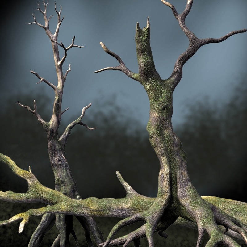 DRDeadTrees1