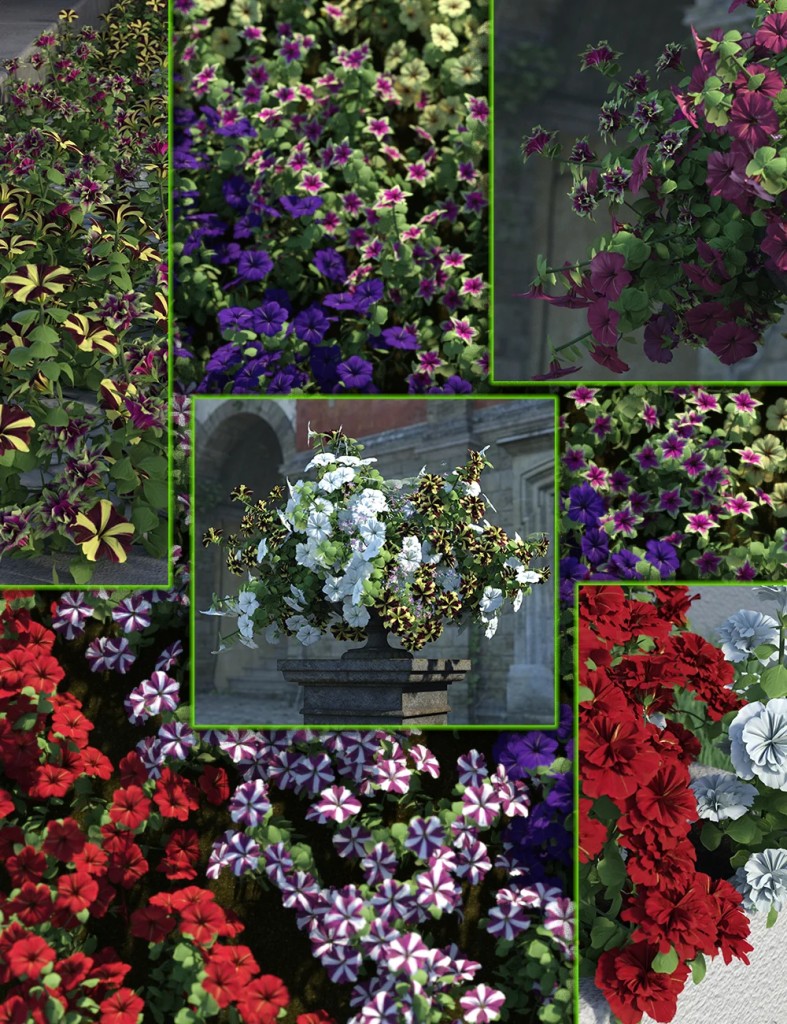 Cottage Garden Flowers Vol2 – Petunias Bundle