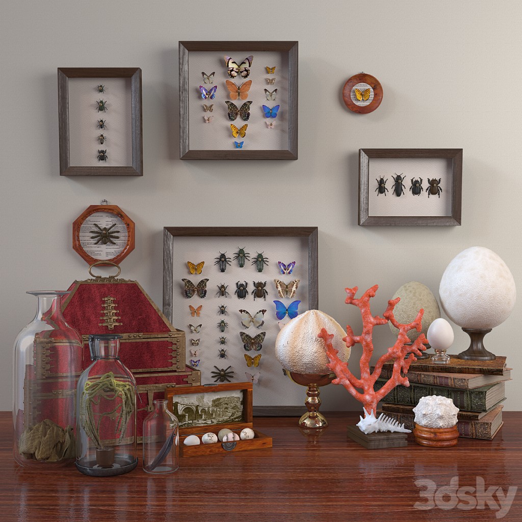 Set of beetles, corals and eggs