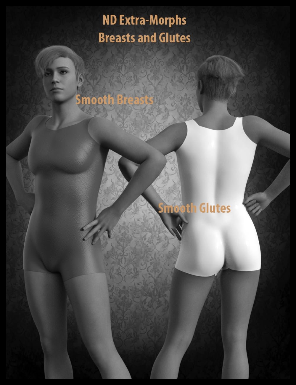ND Extra Morphs: Breasts and Glutes for Genesis 9