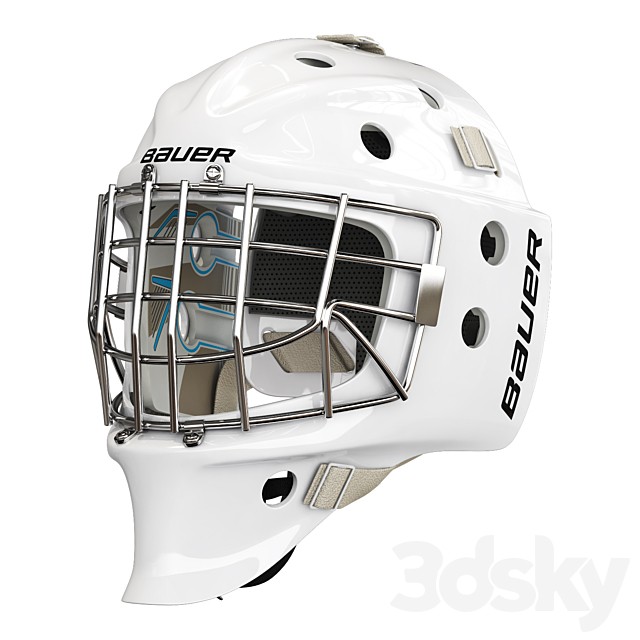bauer profile 960 goalie mask
