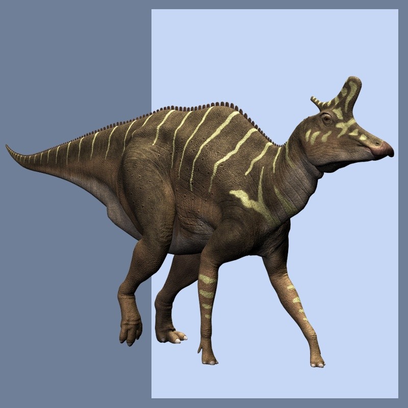 LambeosaurusDR