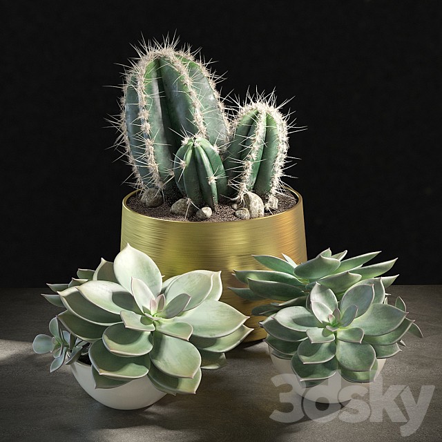 Set of plants 01