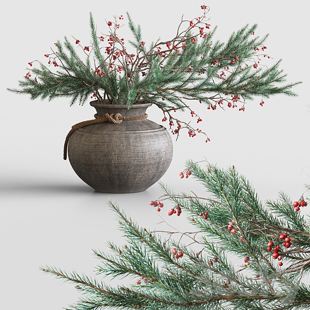 Branch of spruce and hawthorn in a clay vase