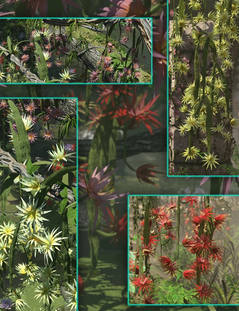 Orchid Cactus – Low Res Tropical Flowers