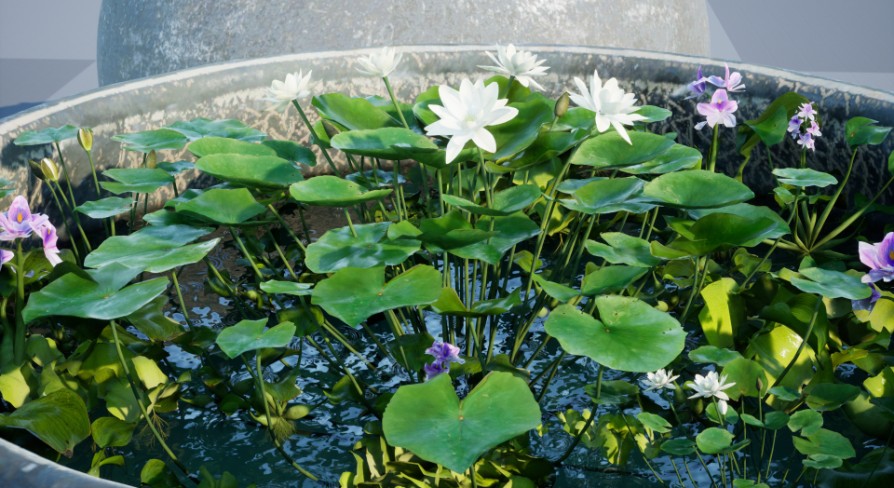 [UE4.26] Water Tank Aquatic Plants